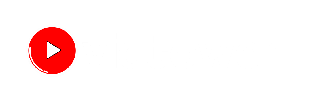 VidTower