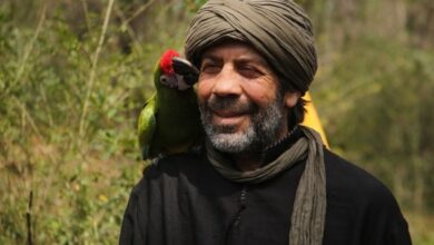 Kuşlarla Yolculuk Episode 3 In Urdu Subtitle